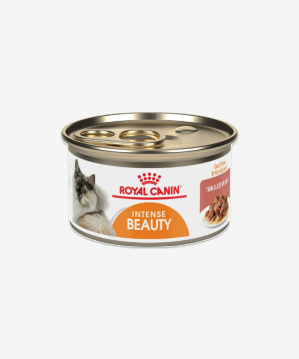 Royal Canin Feline Care Nutrition Hair & Skin Care