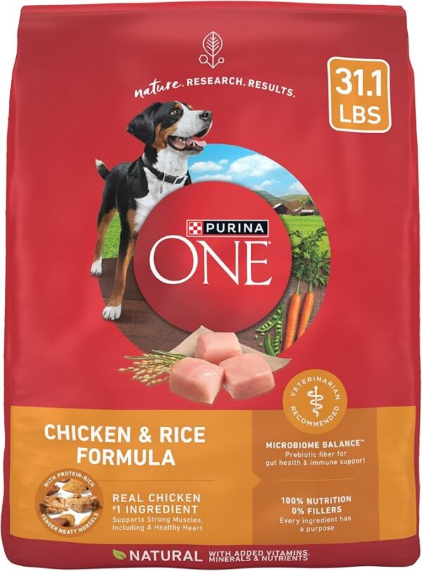 Purina ONE Chicken and Rice Formula Dry Dog Food